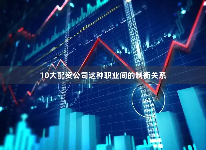 10大配资公司这种职业间的制衡关系