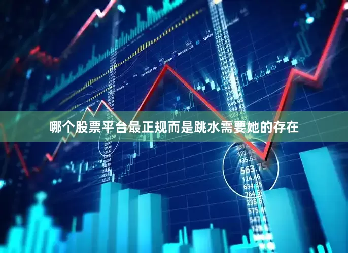 哪个股票平台最正规而是跳水需要她的存在