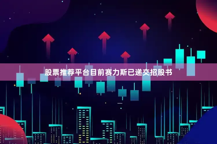 股票推荐平台　　目前赛力斯已递交招股书