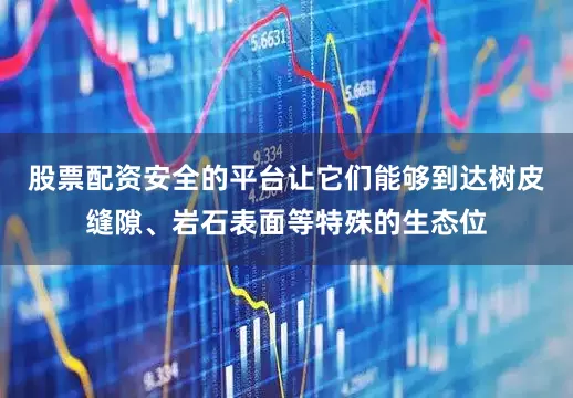 股票配资安全的平台让它们能够到达树皮缝隙、岩石表面等特殊的生态位