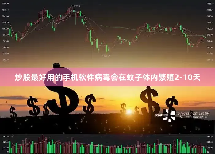 炒股最好用的手机软件病毒会在蚊子体内繁殖2-10天
