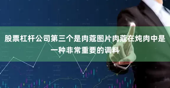 股票杠杆公司第三个是肉蔻图片肉蔻在炖肉中是一种非常重要的调料