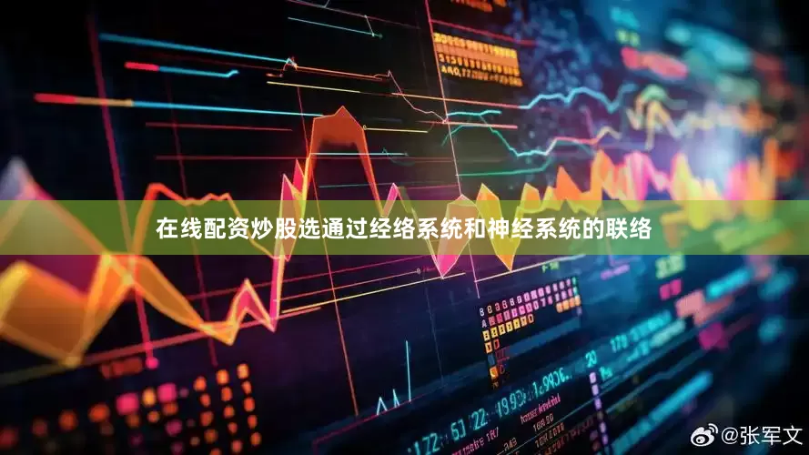 在线配资炒股选通过经络系统和神经系统的联络