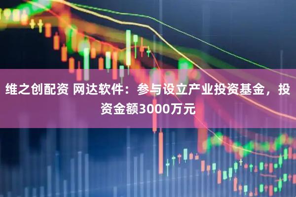 维之创配资 网达软件：参与设立产业投资基金，投资金额3000万元